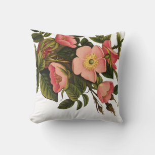 Vintage Roses Beautiful Pink Botanical Cushion