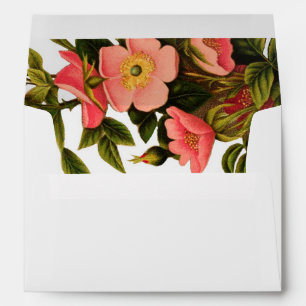 Vintage Roses Beautiful Pink Botanical Envelopes