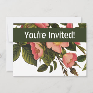 Vintage Roses Beautiful Pink Botanical Invitation