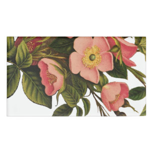 Vintage Roses Beautiful Pink Botanical Name Tag