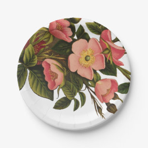 Vintage Roses Beautiful Pink Botanical Paper Plate
