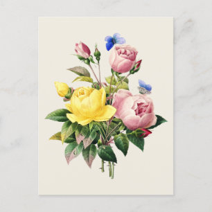 Vintage Roses Botanical Illustration Postcard