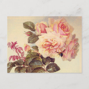 Vintage Roses Bridal Shower Invitation Postcard