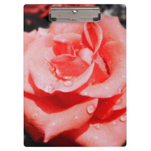 Vintage Roses Clipboard