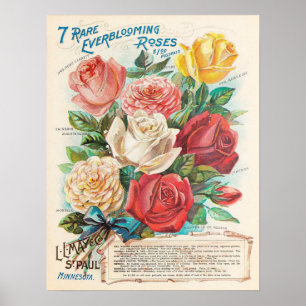 Vintage Roses Colourful Beautiful Ephemera Poster