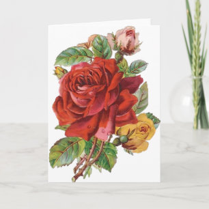 Vintage Roses Everyday Greeting Card