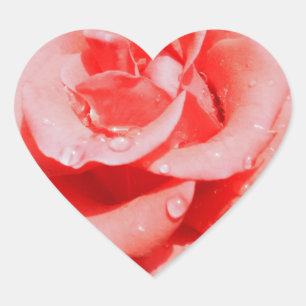 Vintage Roses Heart Sticker