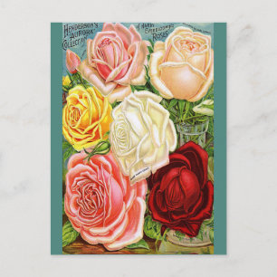 Vintage Roses Postcard