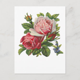 VINTAGE ROSES POSTCARD