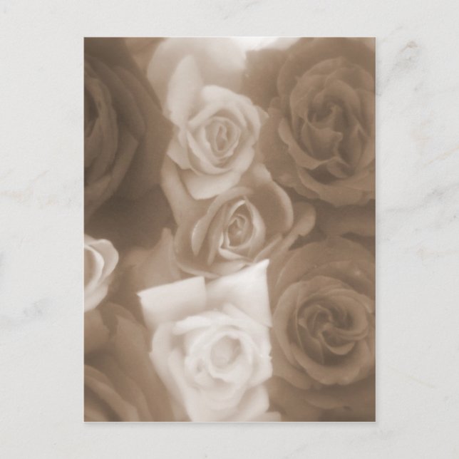 vintage roses postcard (Front)