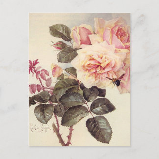 Vintage Roses Postcard