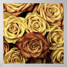 Vintage Roses