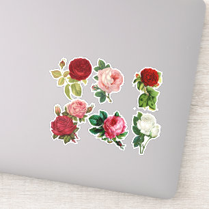 Vintage roses,pretty floral Stickers