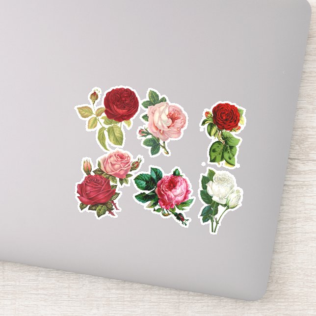 Vintage roses,pretty floral Stickers (Detail)