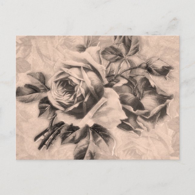 Vintage Roses Sepia Postcard (Front)