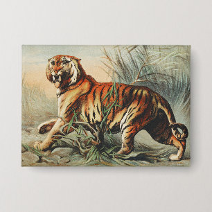 Vintage Royal Bengal Tiger Naturalist Art Print