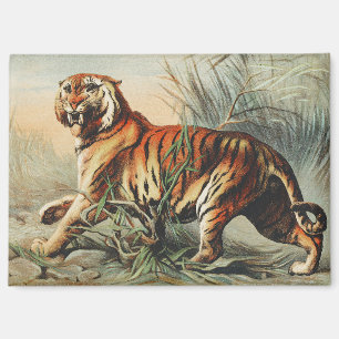 Vintage Royal Bengal Tiger Naturalist Art Print Magnet