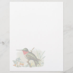 Vintage Ruby Throated Humming Bird Letterhead