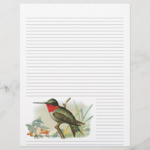 Vintage Ruby Throated Hummingbird Lined Letterhead