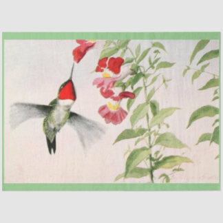 vintage ruby throated hummingbird pastel tissue paper