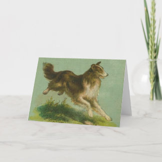 Vintage Running Collie notecard