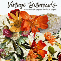 Vintage Rustic Floral Botanical Decoupage