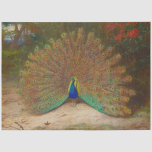 Vintage Rustic Peacock Peacocks Decoupaging Tissue Paper