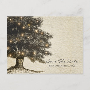 Vintage Rustic Tree & Lights Wedding Save the Date Announcement Postcard