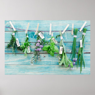 Vintage rustic turquoise wall with herbals poster