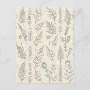 Vintage Sage Green Ferns Wildflowers Botanical  Postcard
