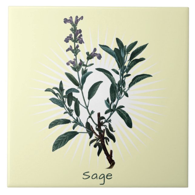Vintage Sage Herb Botanical Art Ceramic Tile (Front)