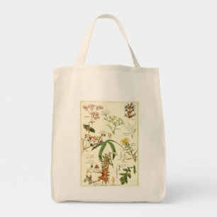 Vintage sage illustration groceries tote bag