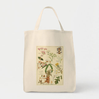 Vintage sage illustration groceries tote bag
