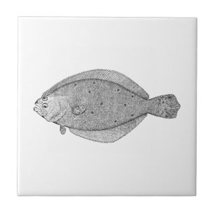Vintage Saltwater Fish (Summer Flounder) Ceramic Tile