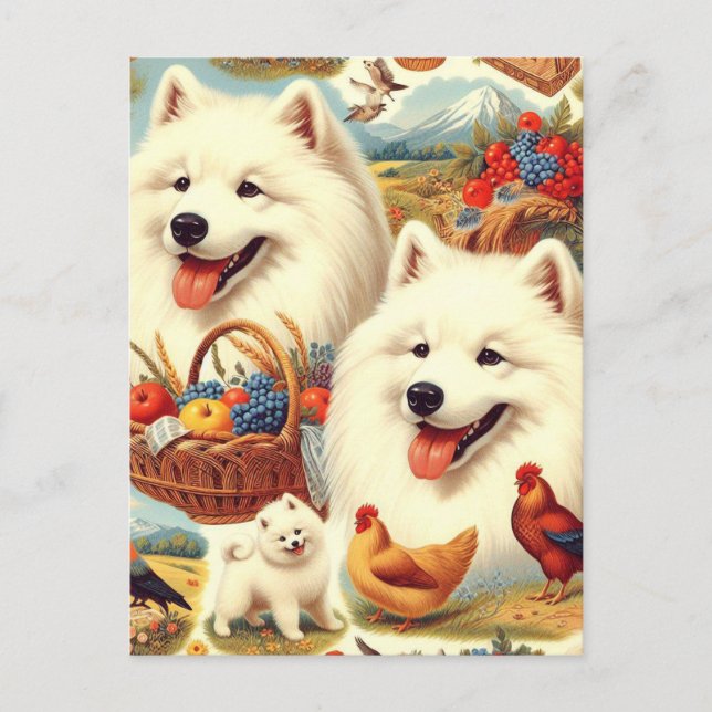 Vintage Samoyed Dog Illustration Postcard (Front)