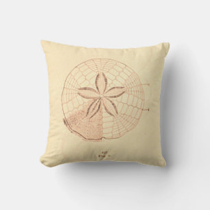Vintage Sand Dollar Beach Illustration Cushion