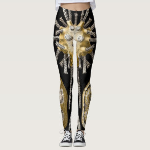 Vintage Sand Dollars Sea Urchins by Ernst Haeckel Leggings