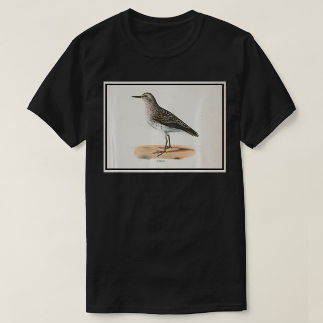 Vintage Sandpiper Bird Illustration (1842) queen  T-Shirt (Design Front)