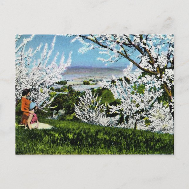 Vintage Santa Clara Valley Postcard (Front)