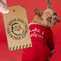 Vintage Santa Claus North Pole Delivery Christmas