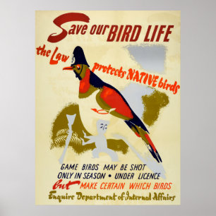 Vintage Save Native Wild Bird Life Poster