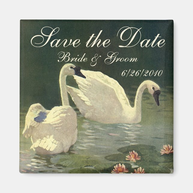 Vintage Save the Date! Beautiful Swans Swimming Magnet (Front)