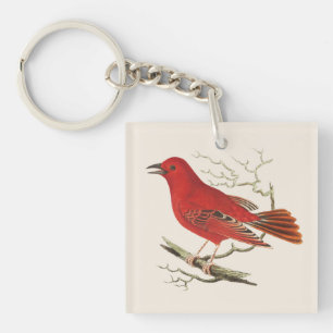 Vintage Scarlet Tanager Naturalist Bird Decor Art Key Ring