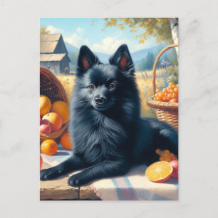 Vintage Schipperke Puppy Painting Postcard