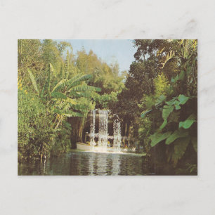 Vintage Schweitzer Falls Postcard