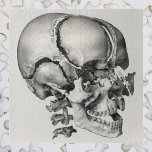 Vintage Science Human Anatomy, Antique Skull Jigsaw Puzzle<br><div class="desc">Vintage illustration human health and anatomy drawing featuring a close up of a skull showing the different parts of the skull,  eye sockets,  teeth and spinal column. Great design for science and biology geeks.</div>