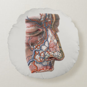 Vintage Science Human Anatomy, Face with Nose Round Cushion