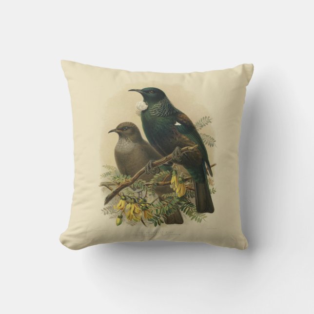 Vintage Science NZ Birds - Tui Cushion (Front)
