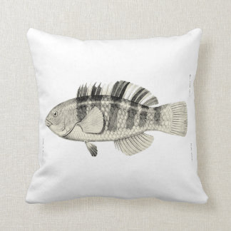 Vintage Science NZ Fish - Banded Parrot Fish Cushion