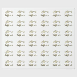 Vintage Science NZ Fish - Big Belly Sea Horses Wrapping Paper